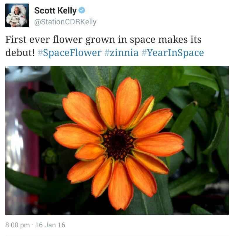 flower-scott-kelly-space